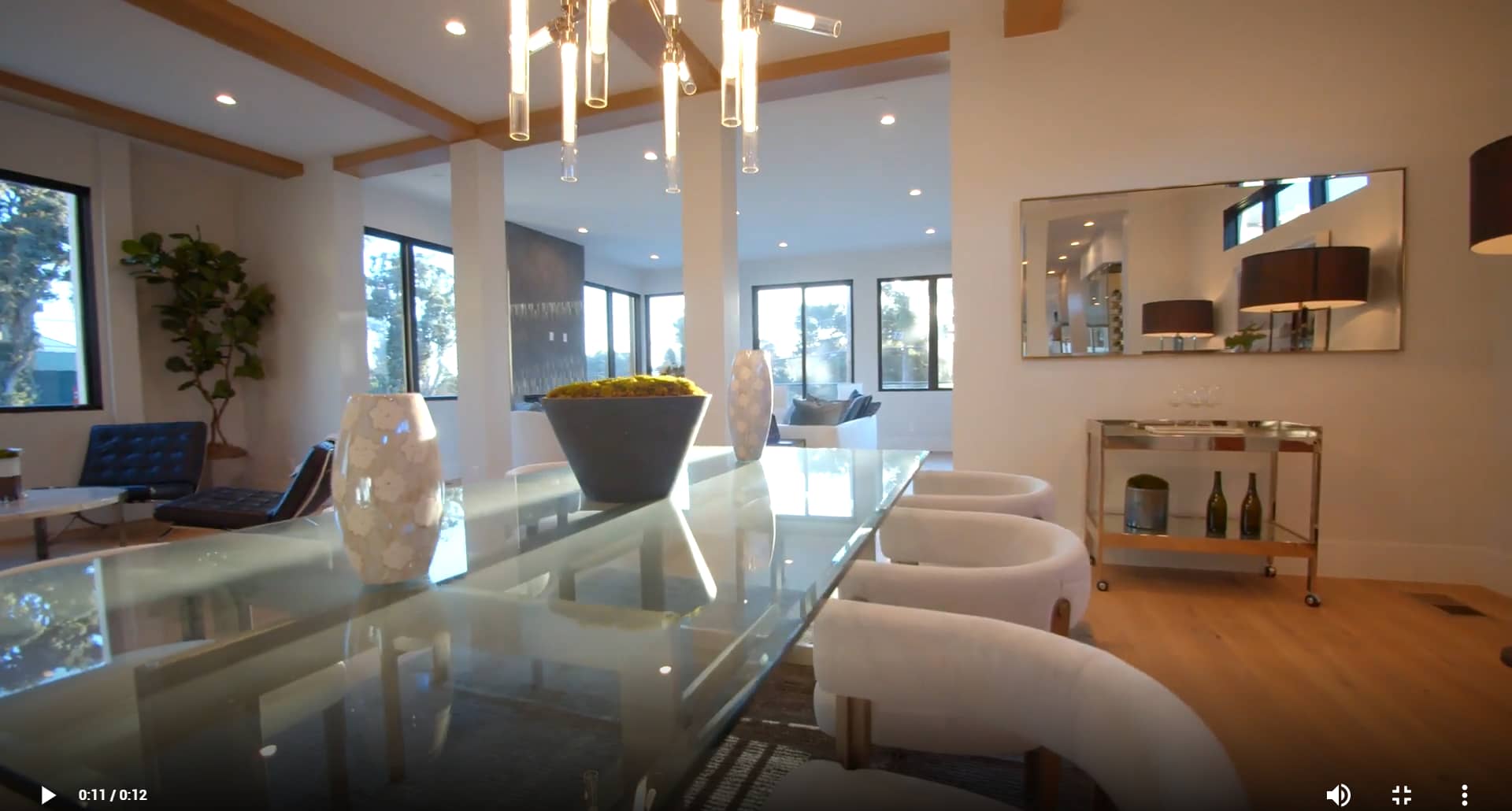 Minimalist visible house