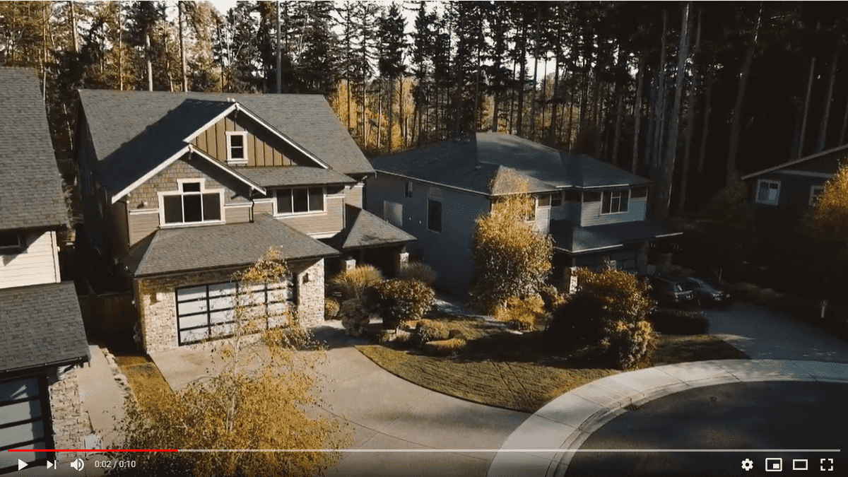 magical-forest_ magical_forest